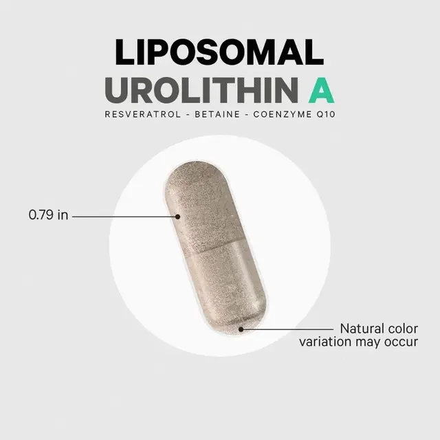 Liposomal Urolithin A - 60 Capsules | Codeage capsules.webp