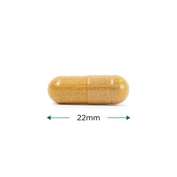 Teen Wholefood Multi Cytoplan capsule.jpg