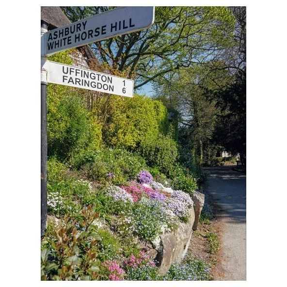 White horse hill, Wiltshire - Easter wkend 2019 ☀️ 🌼 🍺 🌄 🧘🏻&zwj;♂️ #Spring #walk #englishcountryside #easter #wiltshire #hungerford