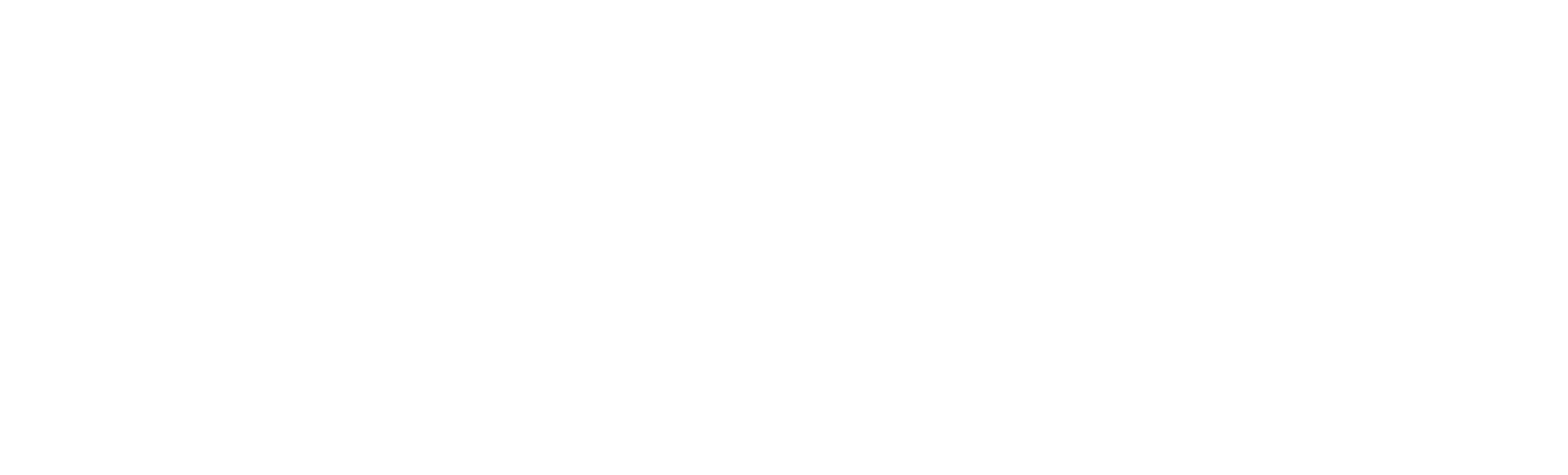 Fjord Shuttle_kvit.png