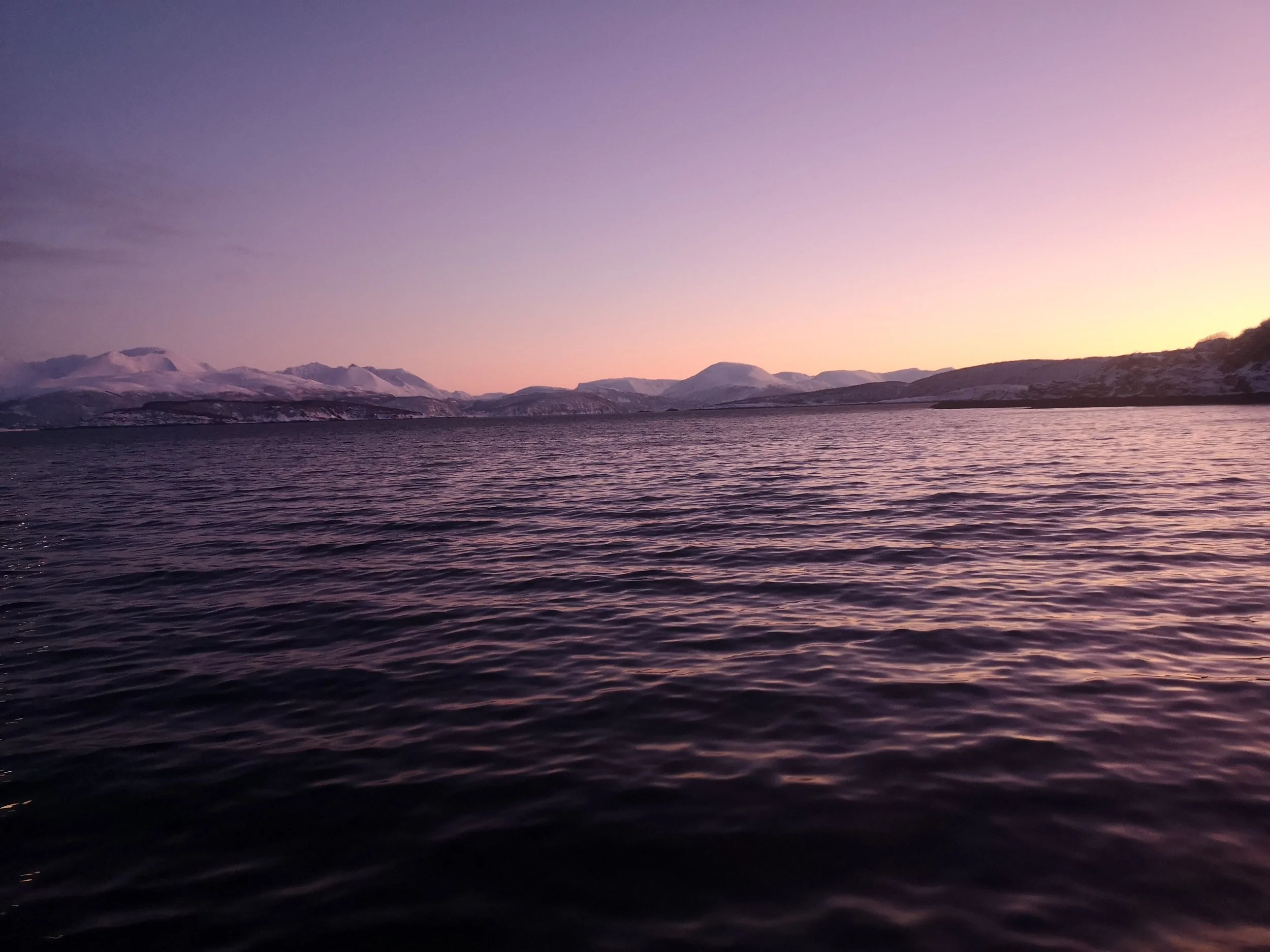 IMG_20220110_133614.jpg