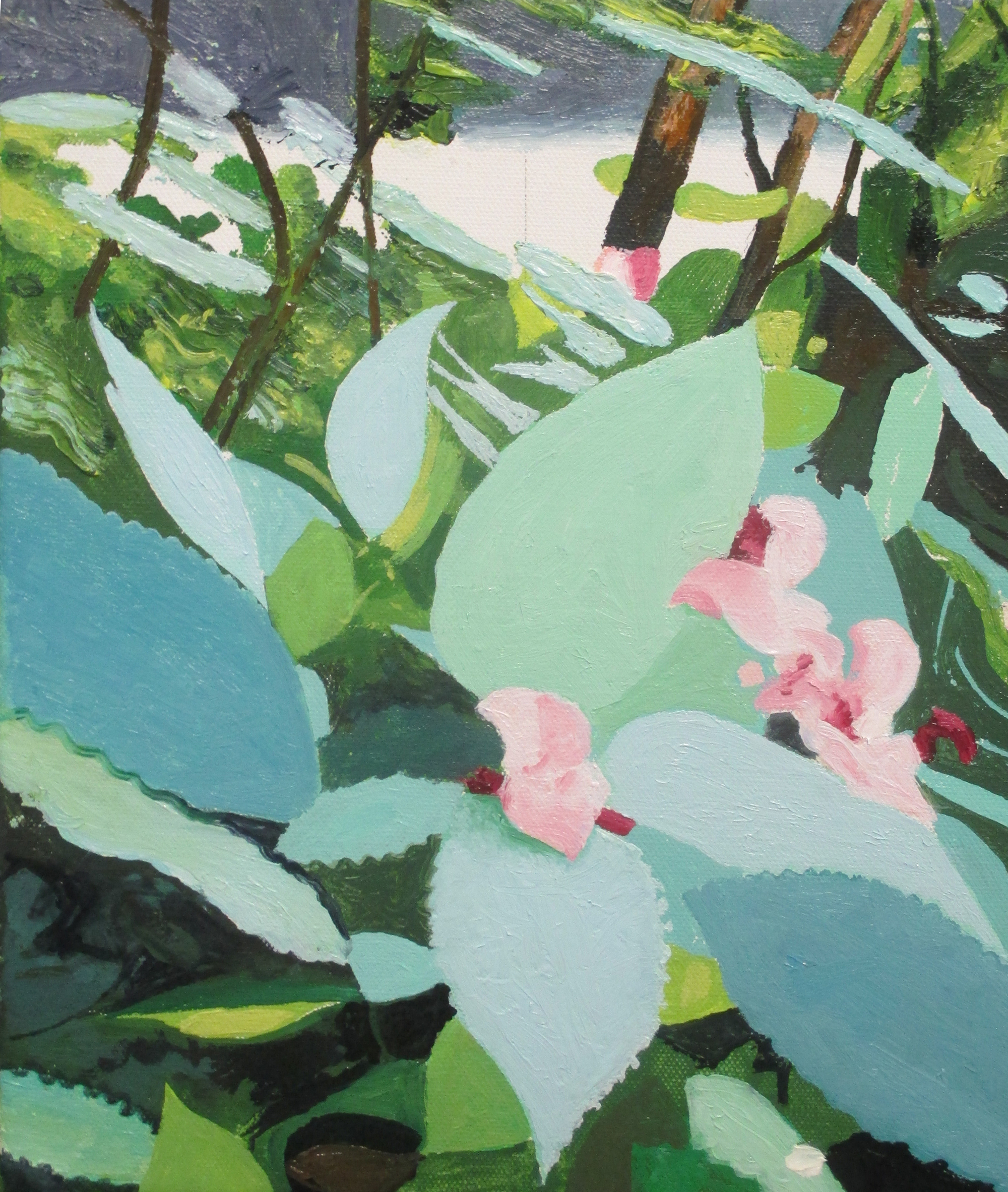 Iain Nicholls Flora , 2015 oil on canvas 30x25cm