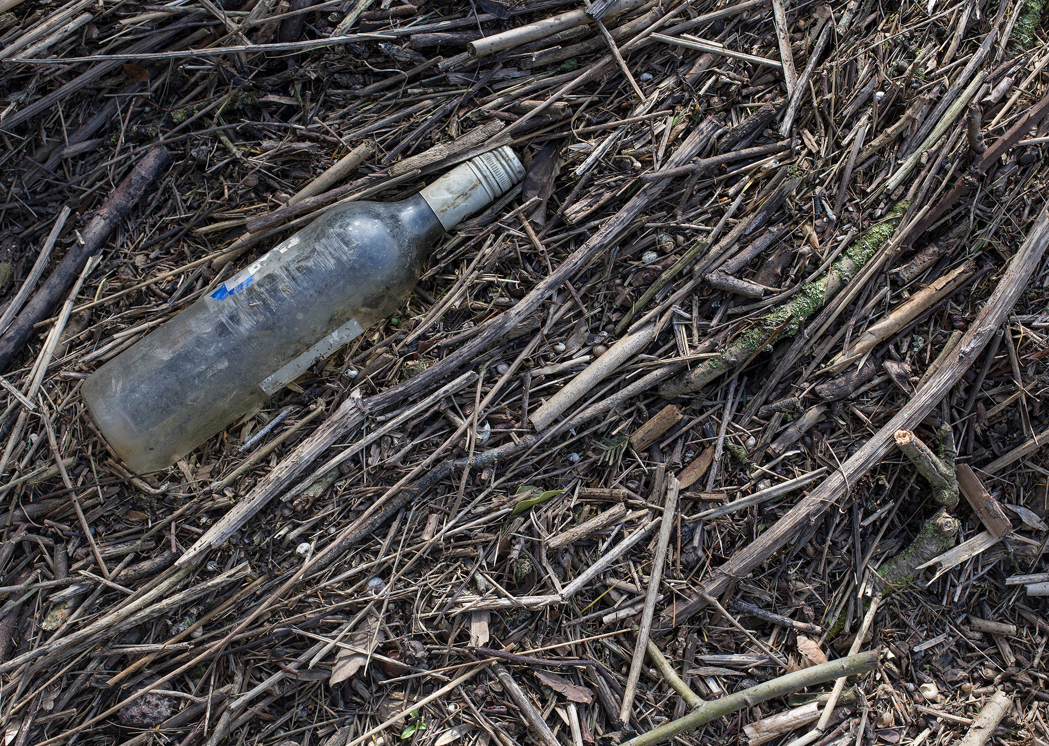 Litter and The Future