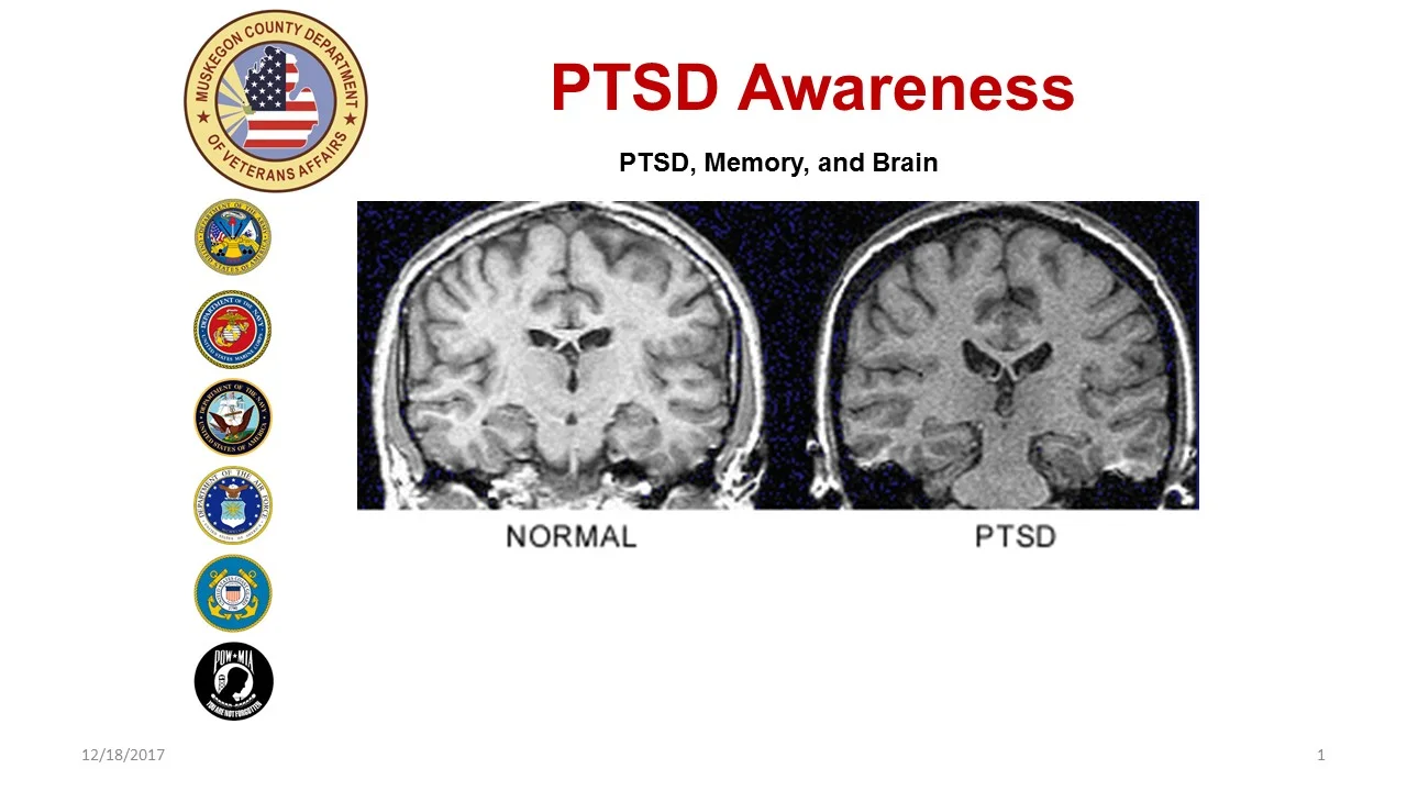 Two structures of the Emotional Brain that play an important role in PTSD are the amygdala and the hippocampus. The hippocampus is involved in memory forming, organizing, connecting emotions and senses–such as smell and sound–to memories, and storing this information away in long term memory for later use. The amygdala activates the body’s alarm system (the fight or flight response). The amygdala has the unique ability to scan all signals–sights, sounds, smells, etc. It performs threat assessment and say’s either “there’s danger” or “it’s safe. The amygdala is a hair trigger that makes rapid judgments about a situation.