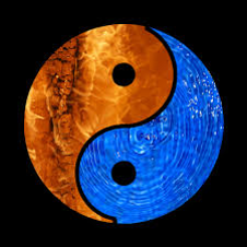yinyang.png
