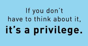 privilege.png