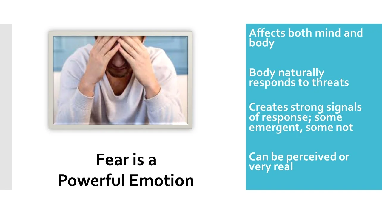 Fear_Jane2.jpg