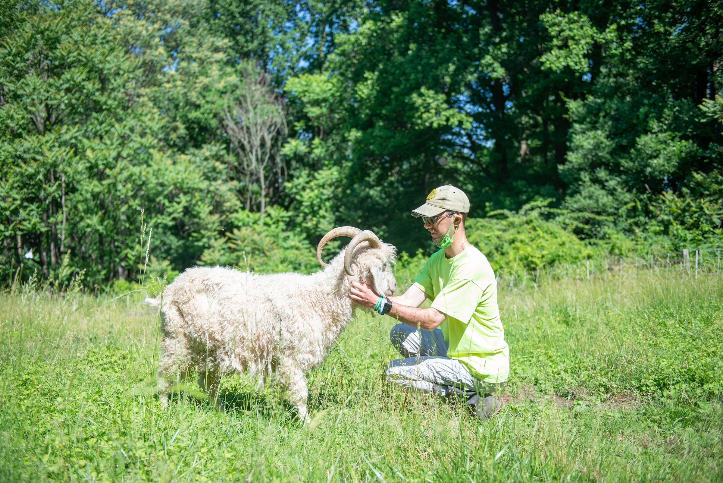 Michael S. spending time with Soltane's angora goat, Pete, at Nantmel Farm on Soltane's campus.