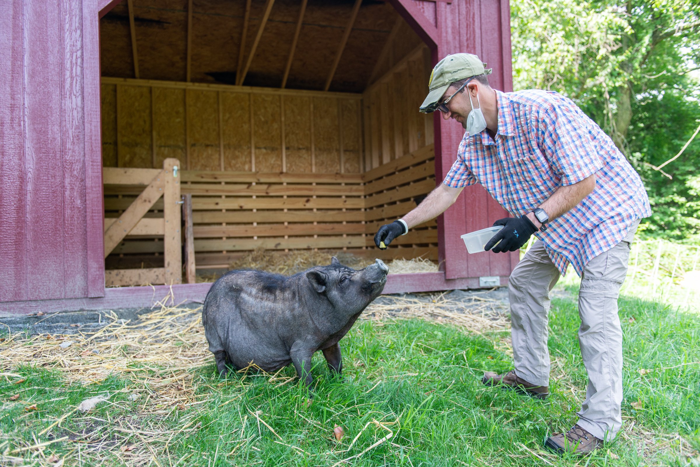 Michael cares for Penny in Soltane's Animal Husbandry program at Nantmel Farm