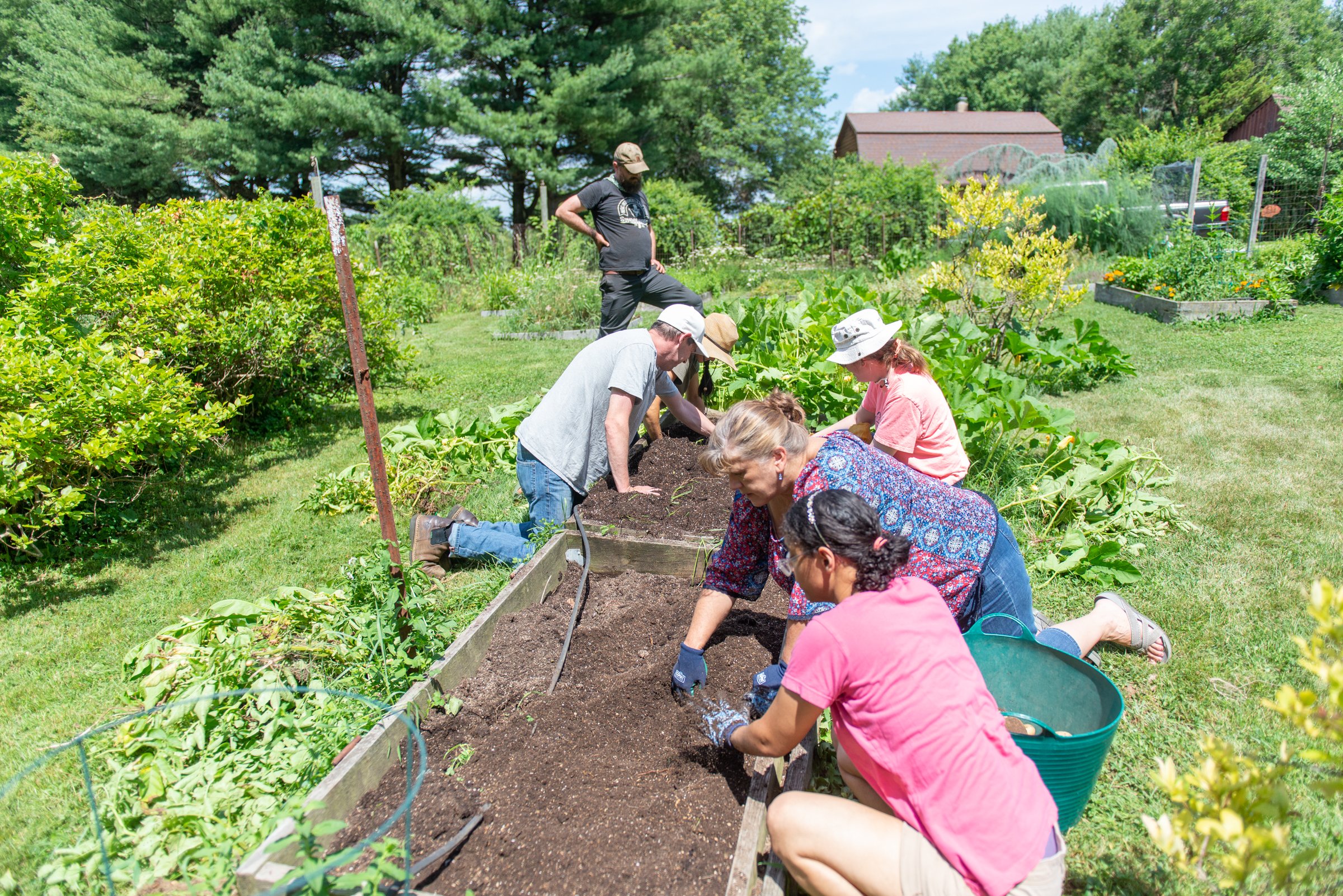Members of Sotlane Horticulture working together in Soltane's Herb Garden