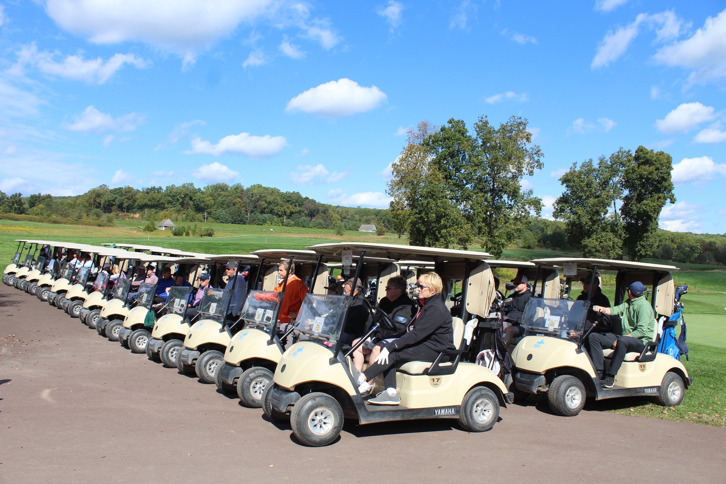 Golf Cart Lineup 2.JPG
