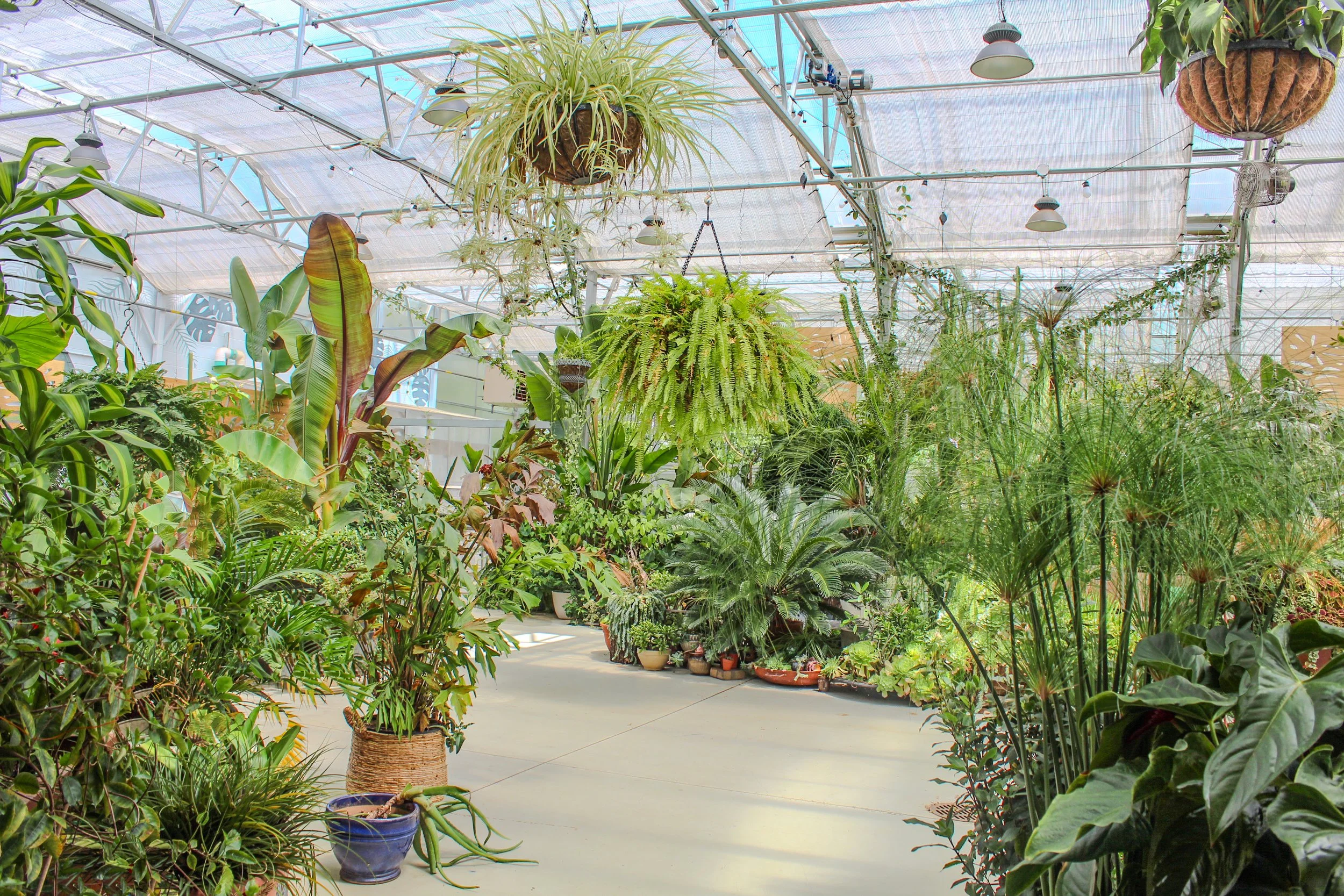 Greenhouse Cafe-3.jpg