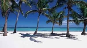 cap cana beach.jpg