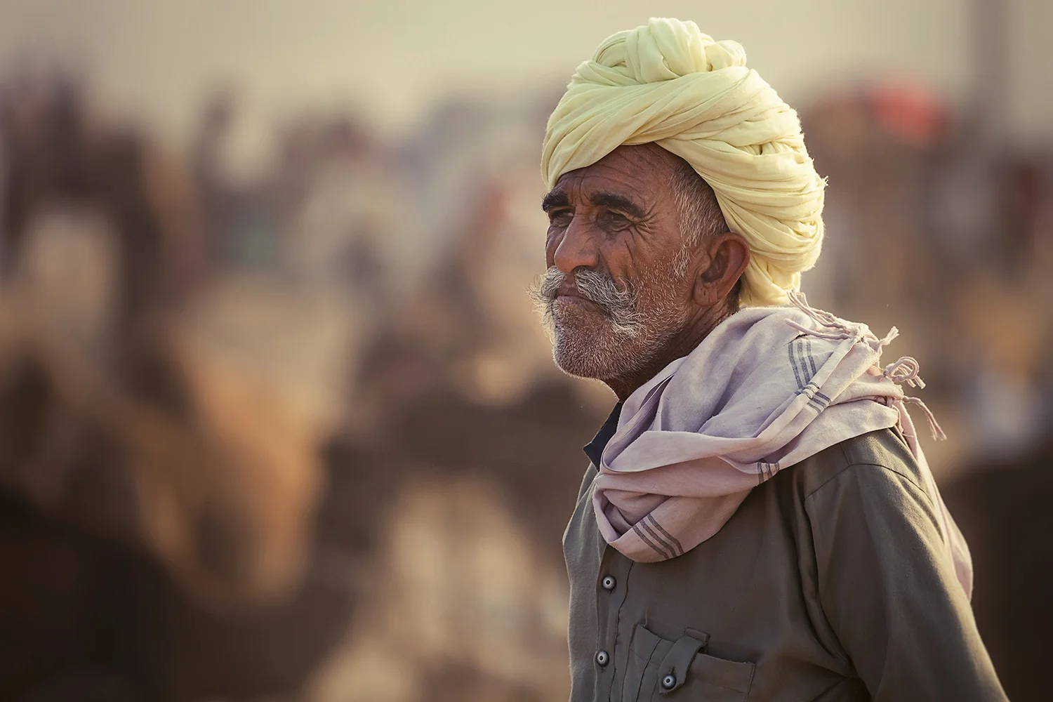 Camel Trader - Pushkar, Rajasthan, India