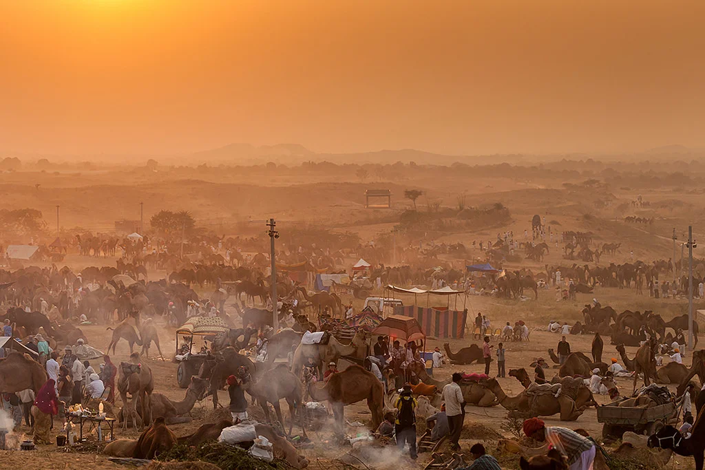 Pushkar