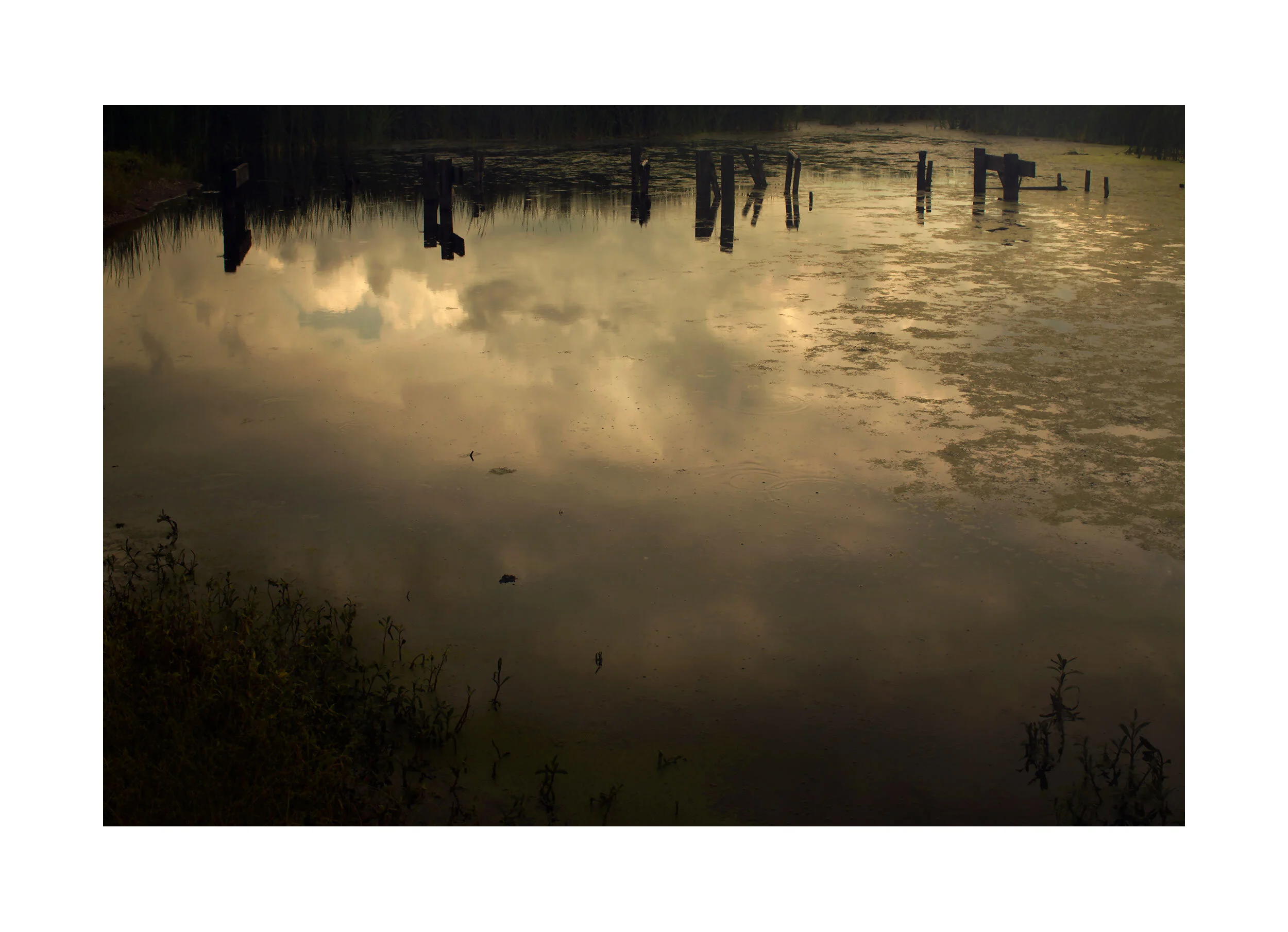 Promised-land-new-Orleans-.jpg