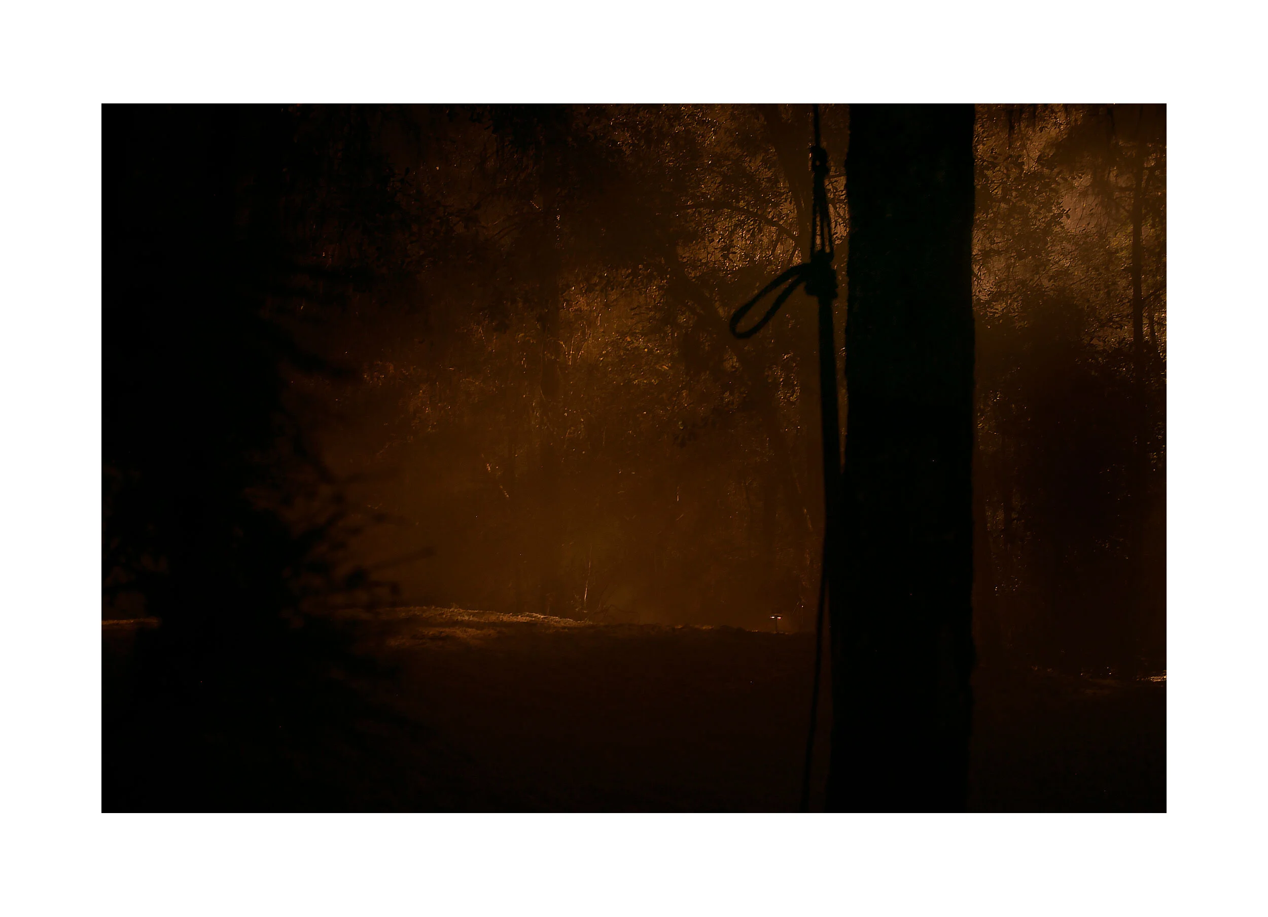 Night-Falls.jpg