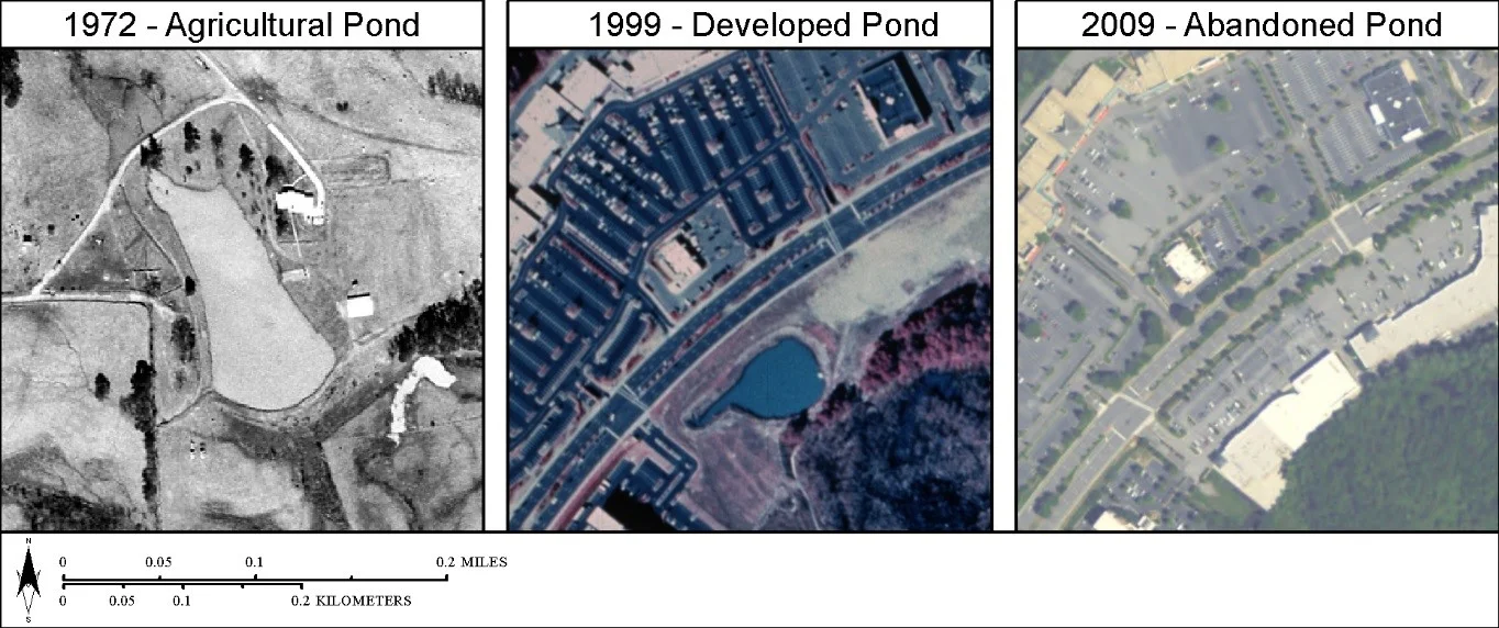  Small reservoir surrounding land cover change from agricultural to developed to demolished (filled and paved over).&nbsp; 