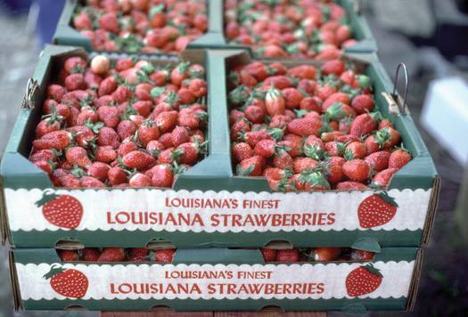 Image via Ponchatoula Strawberry Festival on Facebook.