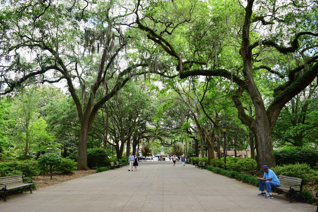 One of the many parks to explore in Savannah, Georgia