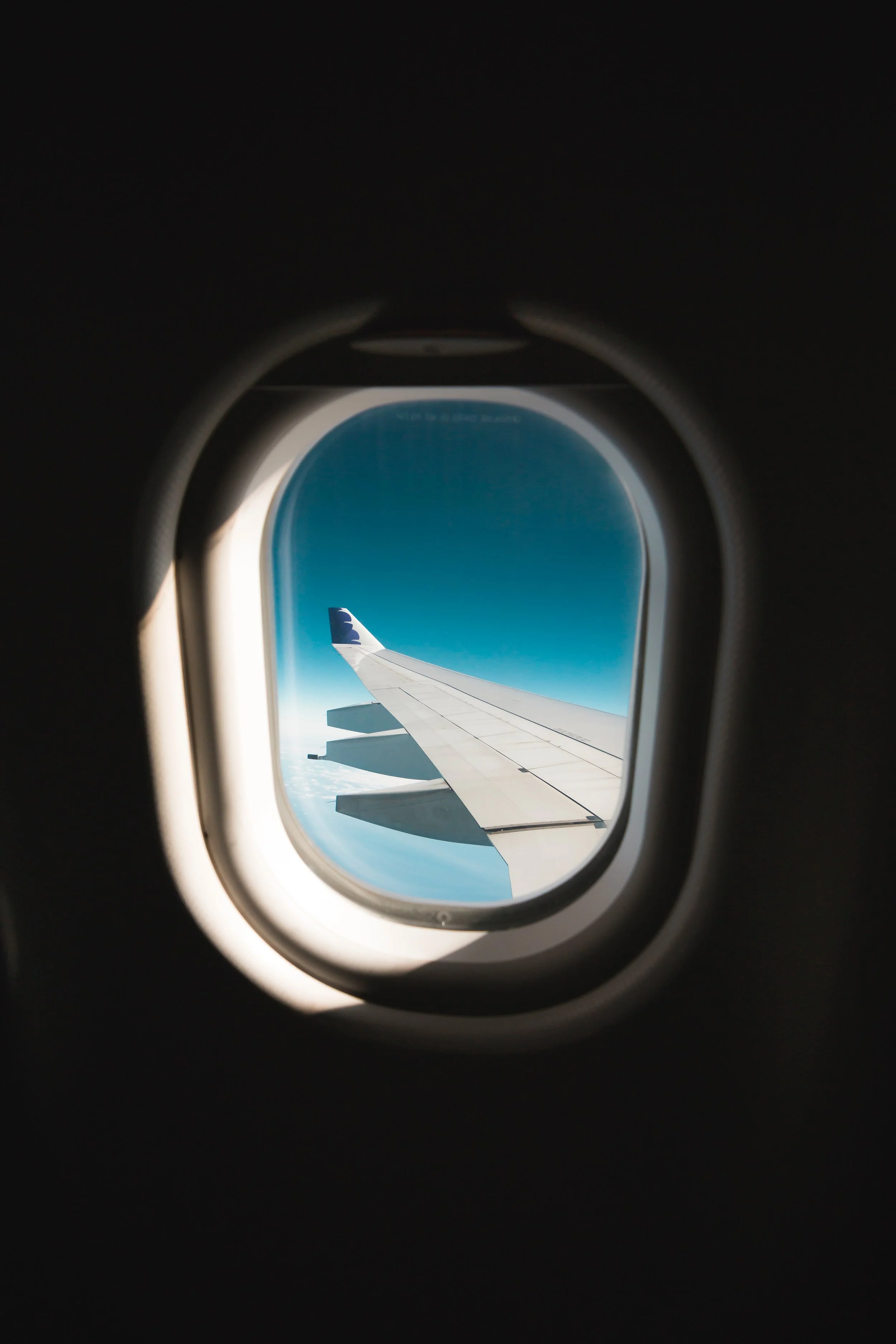 Photo by Steve Halama on Unsplash