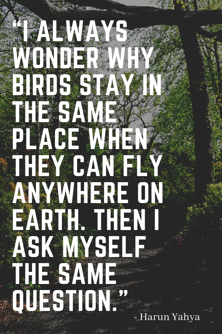 Traveling is Like Flirting.jpg