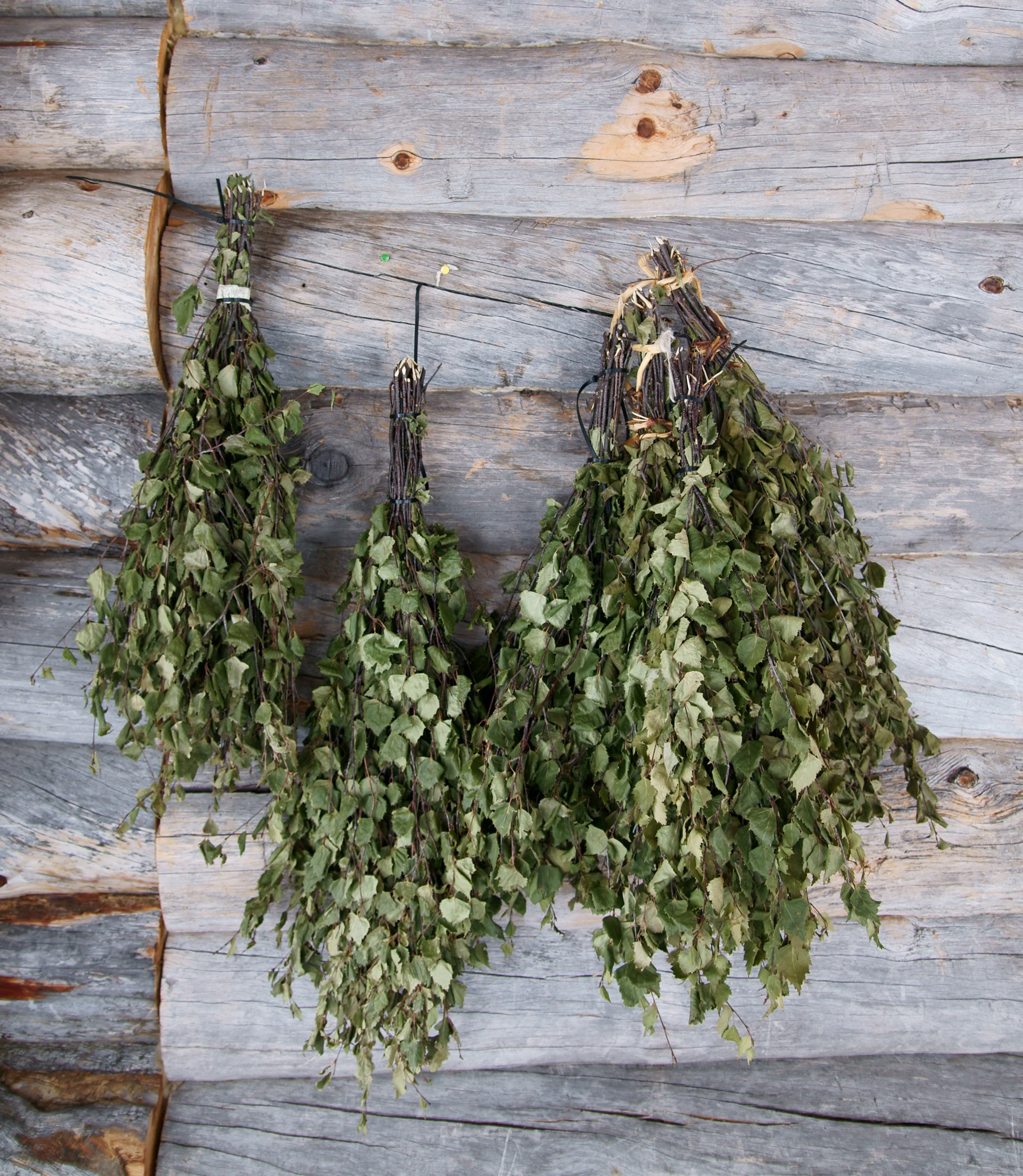 Finnish birch veniks. Photo by kallerna via Wikipedia.