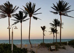 South Florida's Coolest Little Beach Town: Hollywood Beach