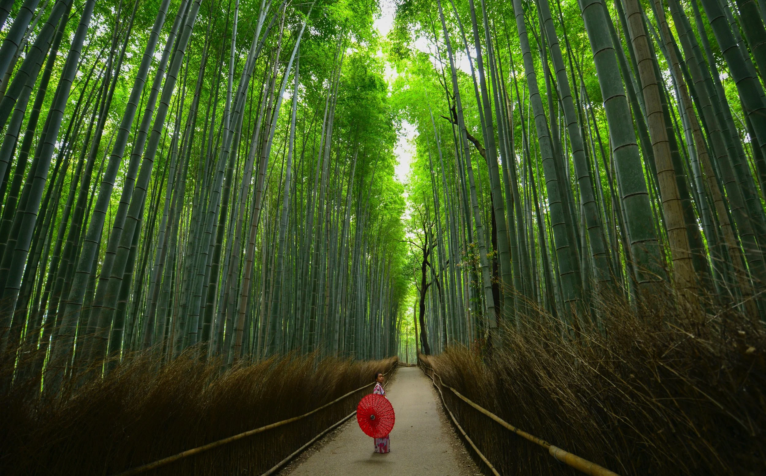 Photo by Walter Mario Stein on Unsplash