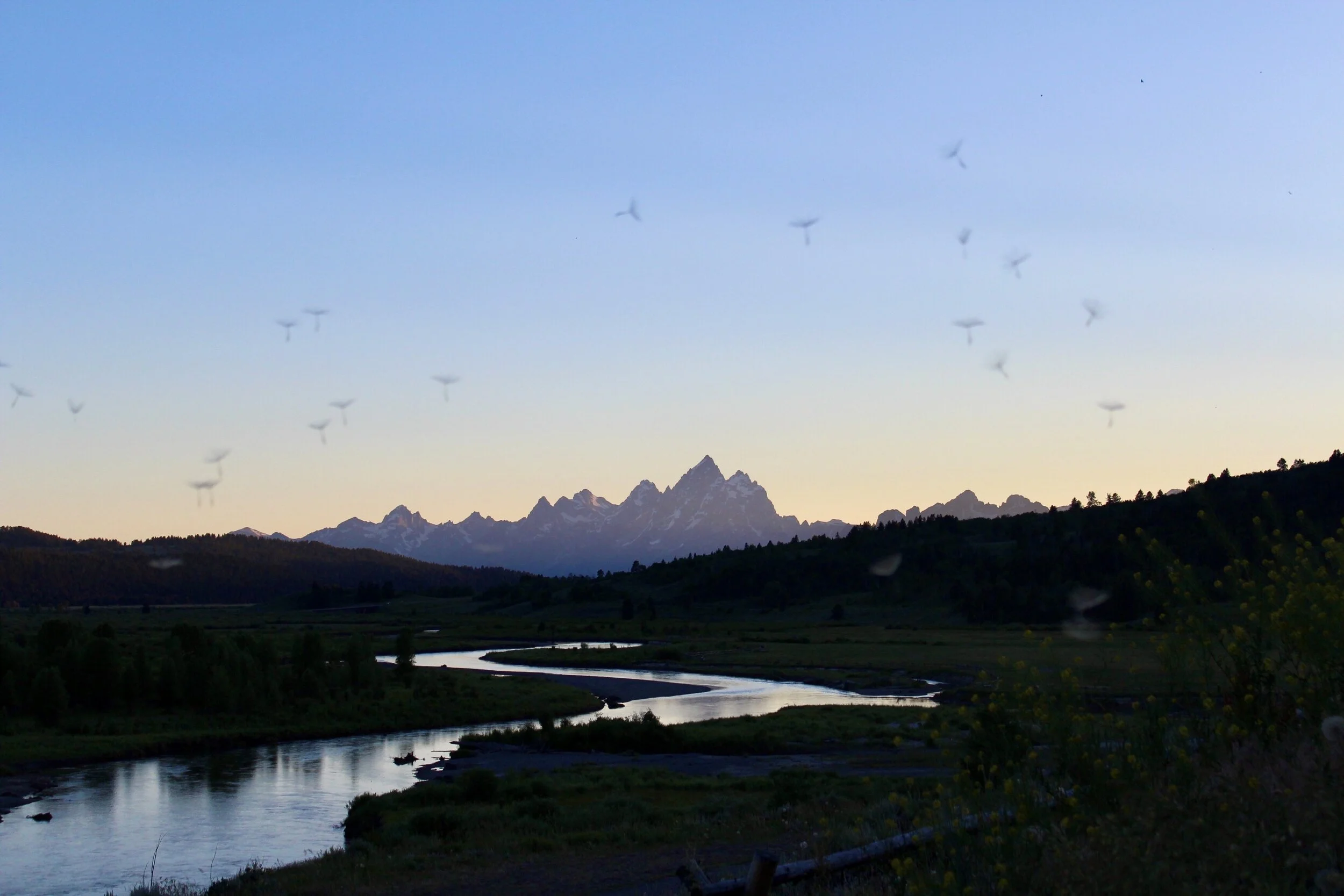 7 Things To Do in Jackson Hole in Spring, Summer, and Fall