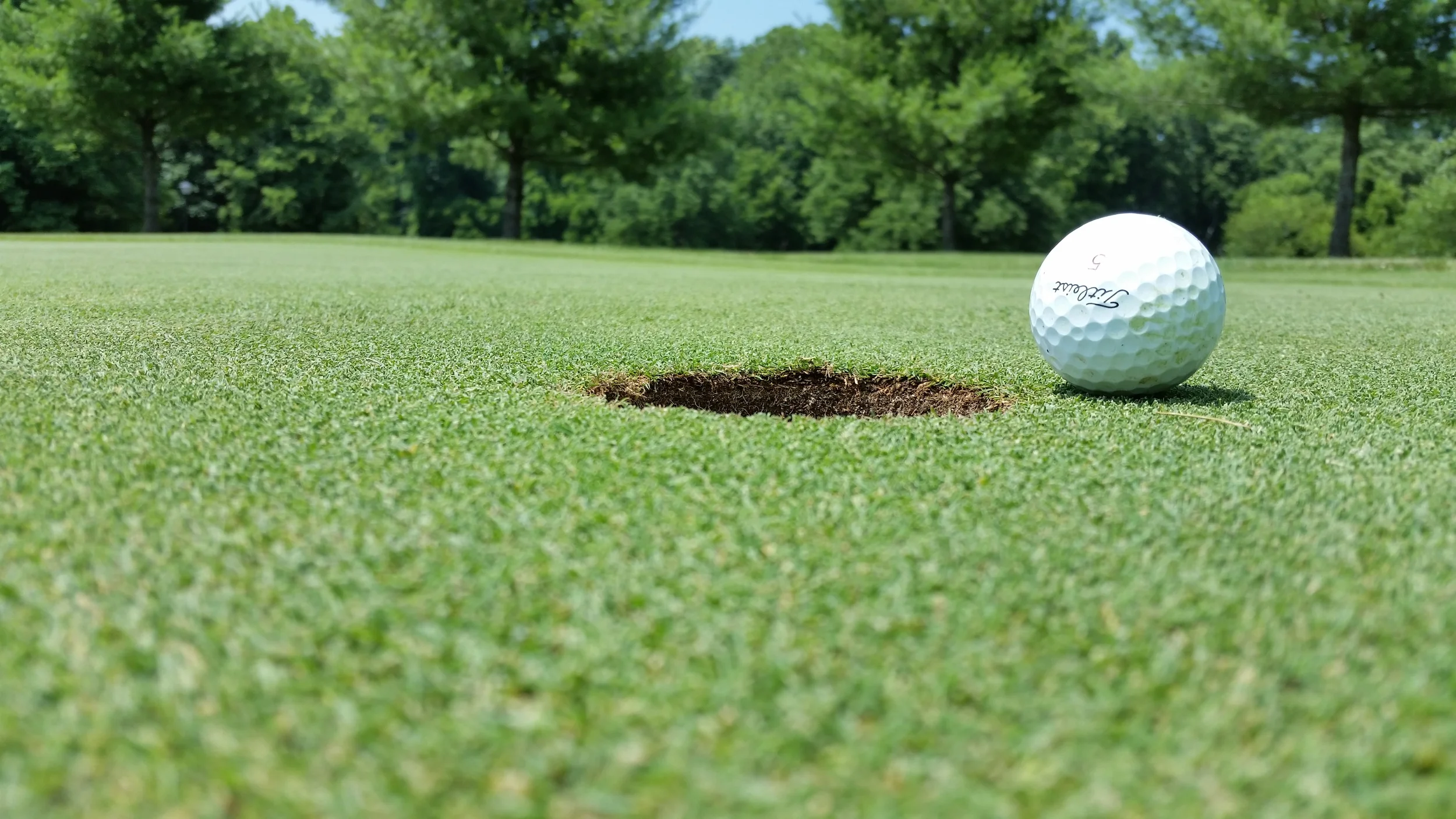 20140626_143116.jpg