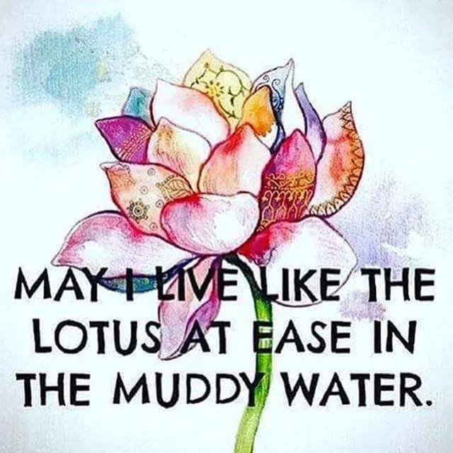 At ease in the muddy water. #faith #bloom #lotus #ease #vinyasa #yoga #yogaoffthemat #FireAndFinesse #openheart #mindpower #mantra #meditation #flow #love #joy #journey #growing