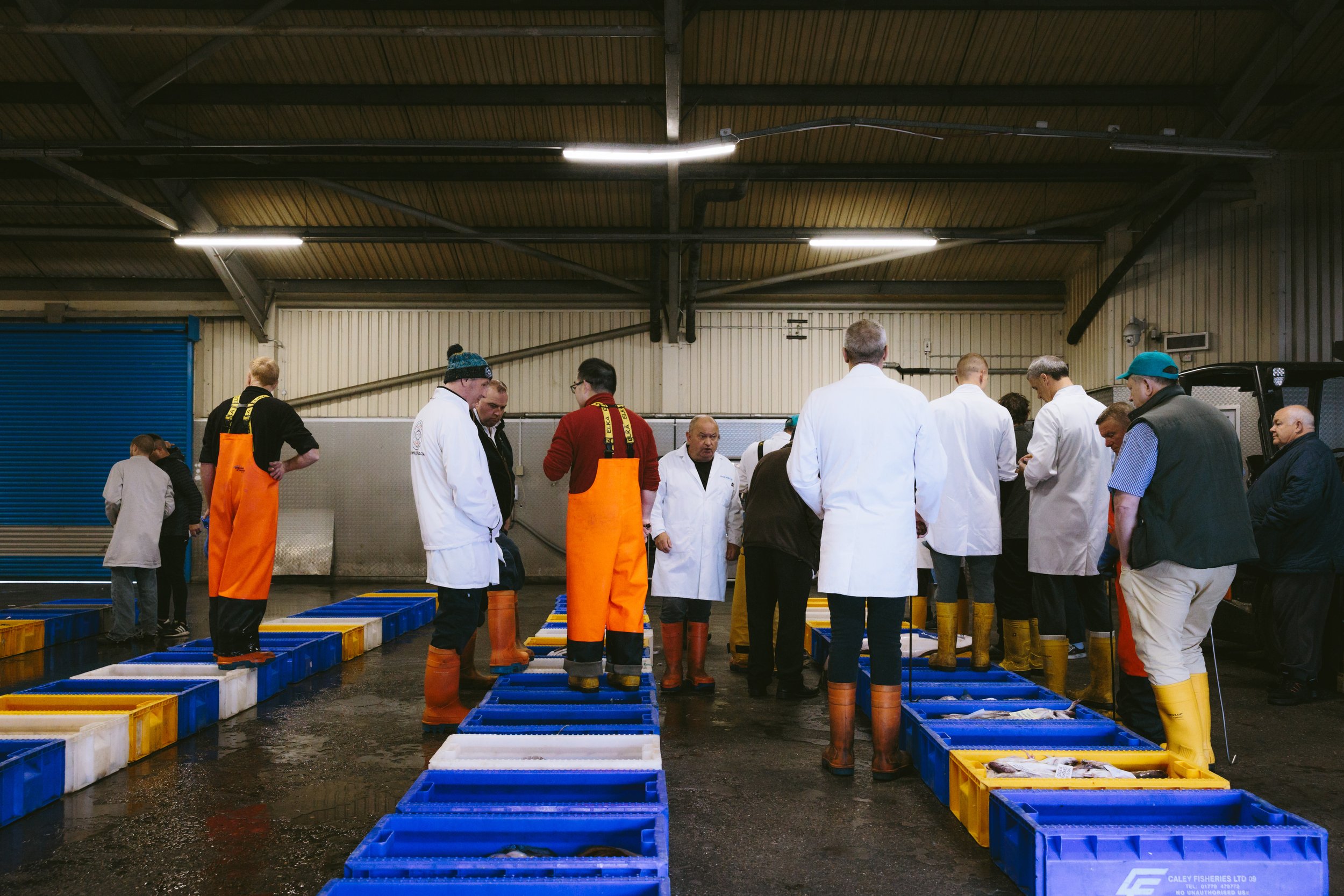  Riley’s was born out of the existence of North Shields Fish Quay where we purchase our fish from the daily shout auction… 