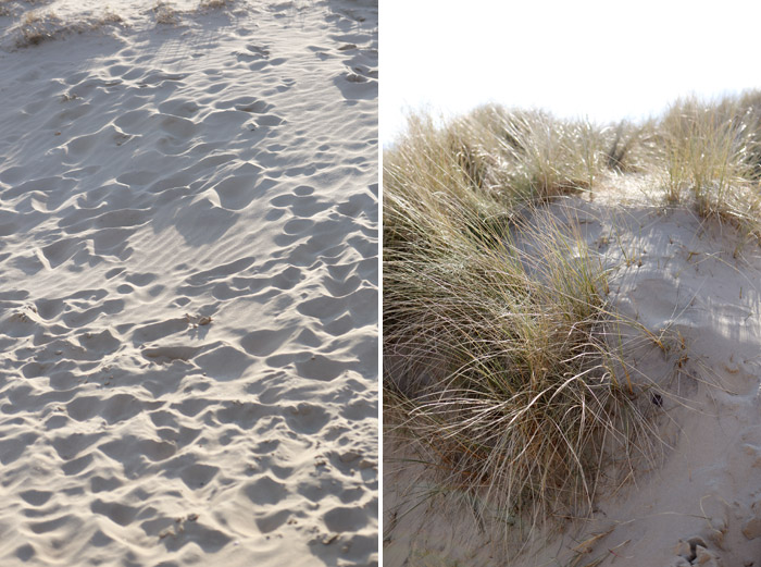 Camber-Sands-Rye.jpg