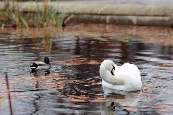 image012.jpg