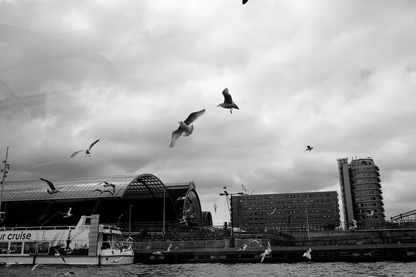 IMG_9791.jpg