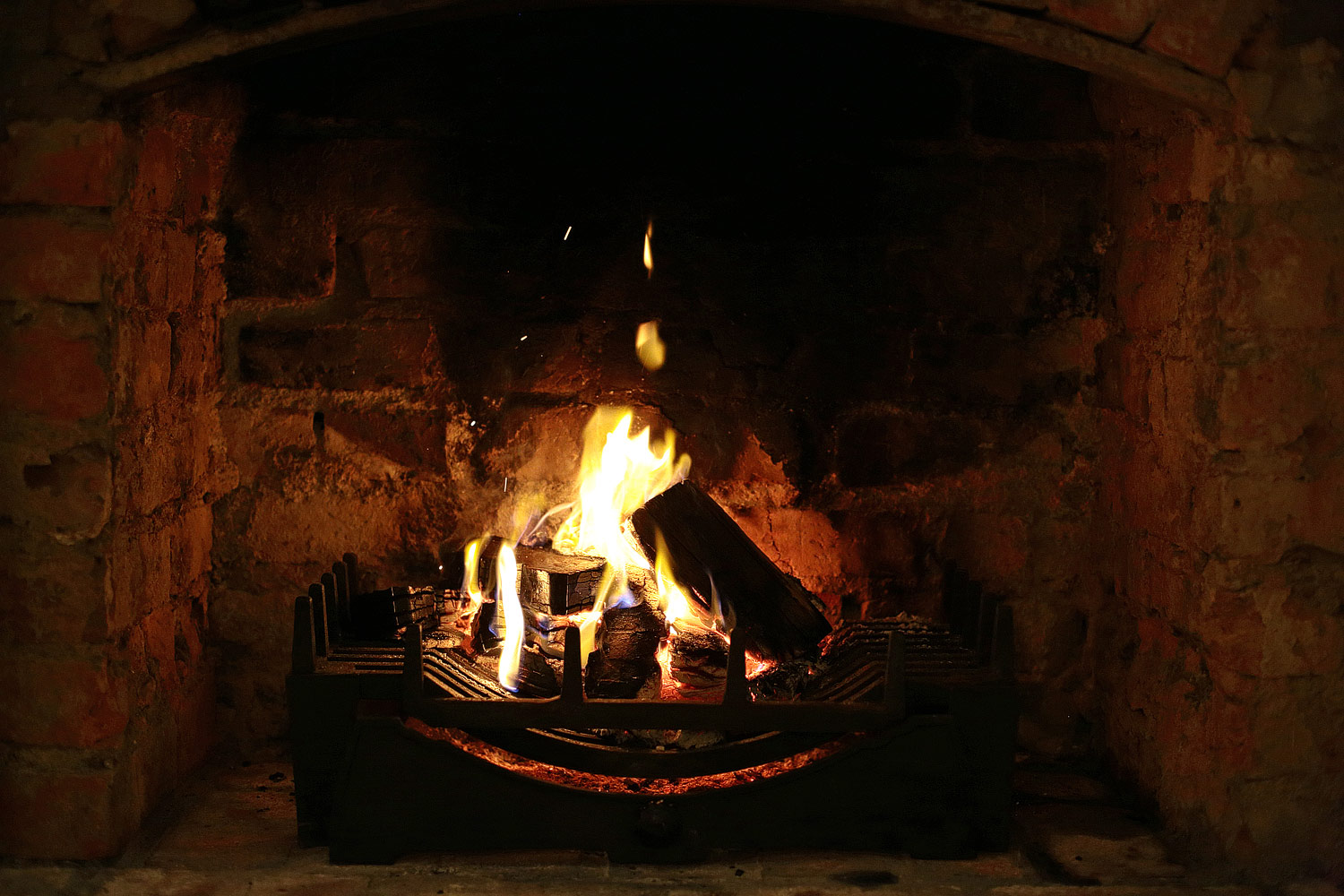 image_745.jpg