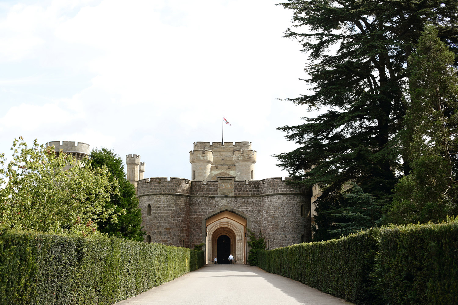 image_358.jpg