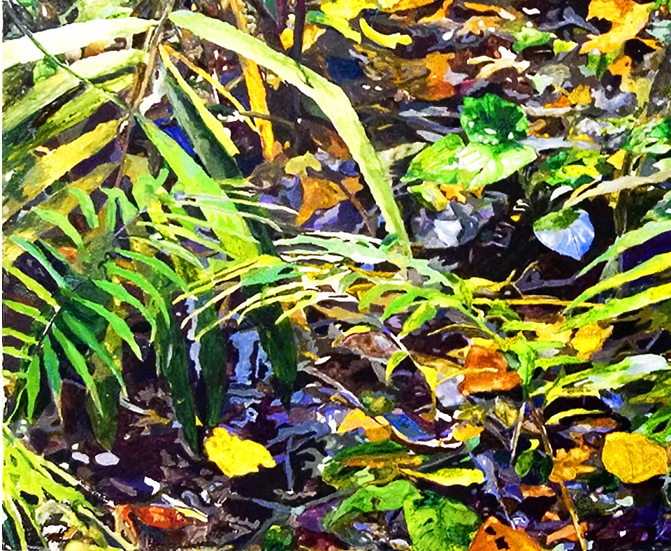 DETAIL TROPICAL RAINFOREST.jpg