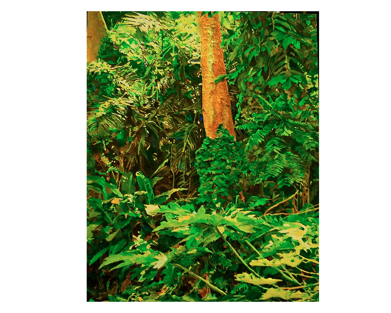 RAINFOREST PAINTING
