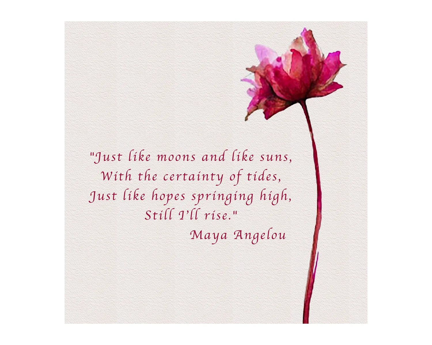 MAYA ANGELOU AND STILL I RISE