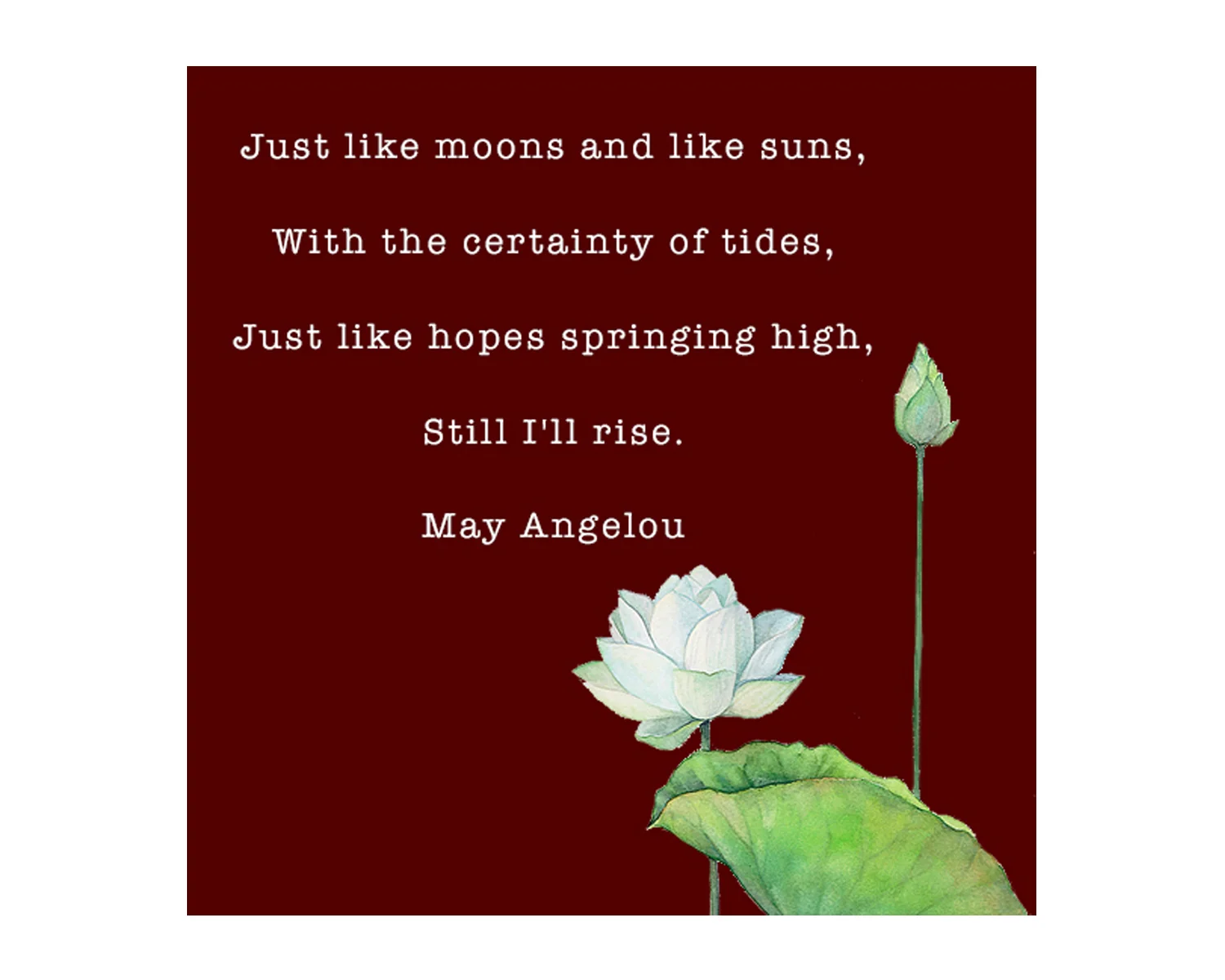 CORRECTED ANGELOU 2 FOR SQUARESPACE.jpg