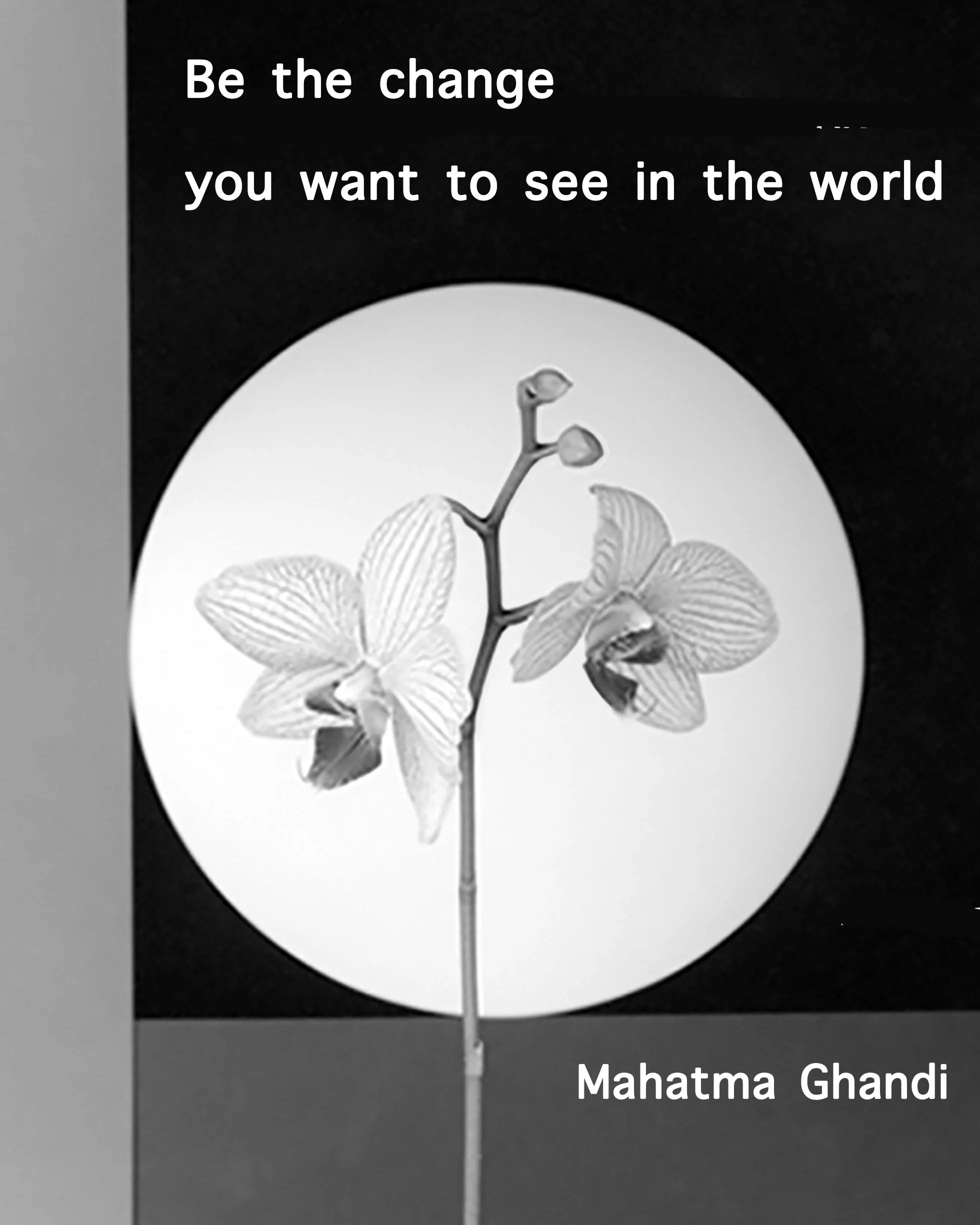 GHANDI 8X10.jpg