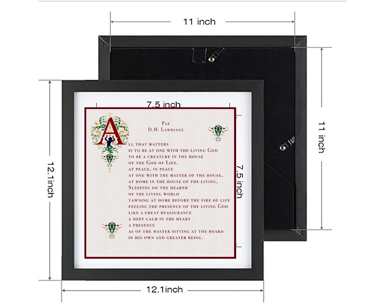 FRAME DIMENSIONS PAX.jpg