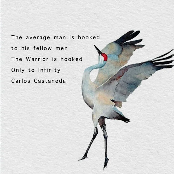 8X8 UNFRAMED CASTANEDA WARRIOR.jpg