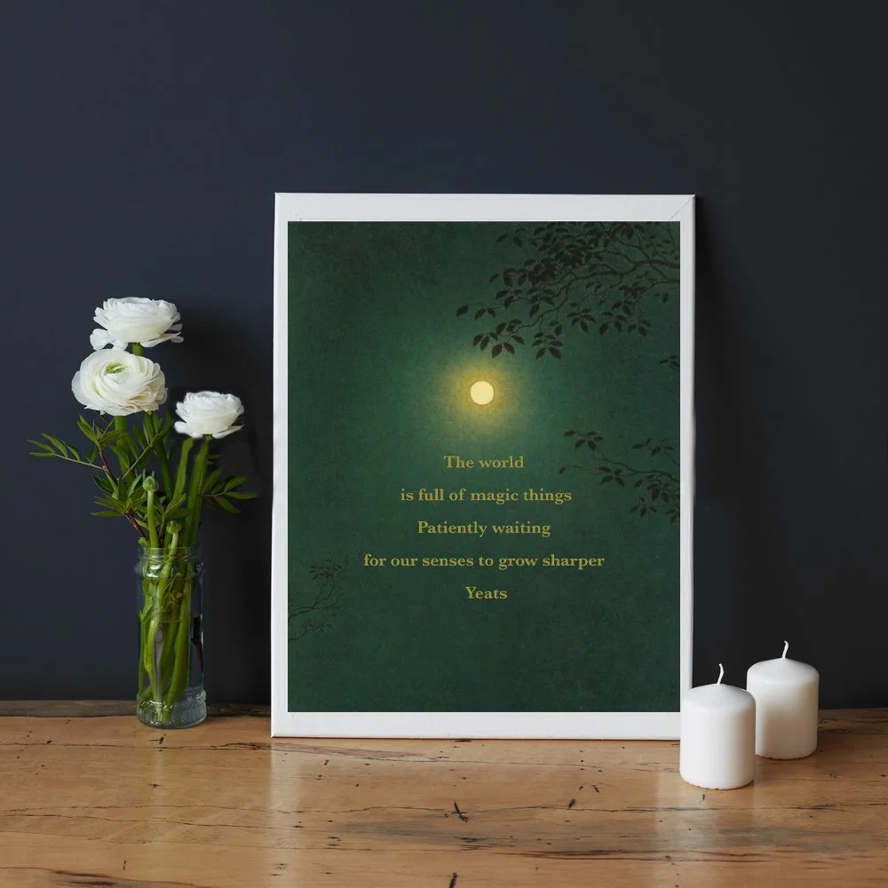 11x14 white frame sharper image.jpg