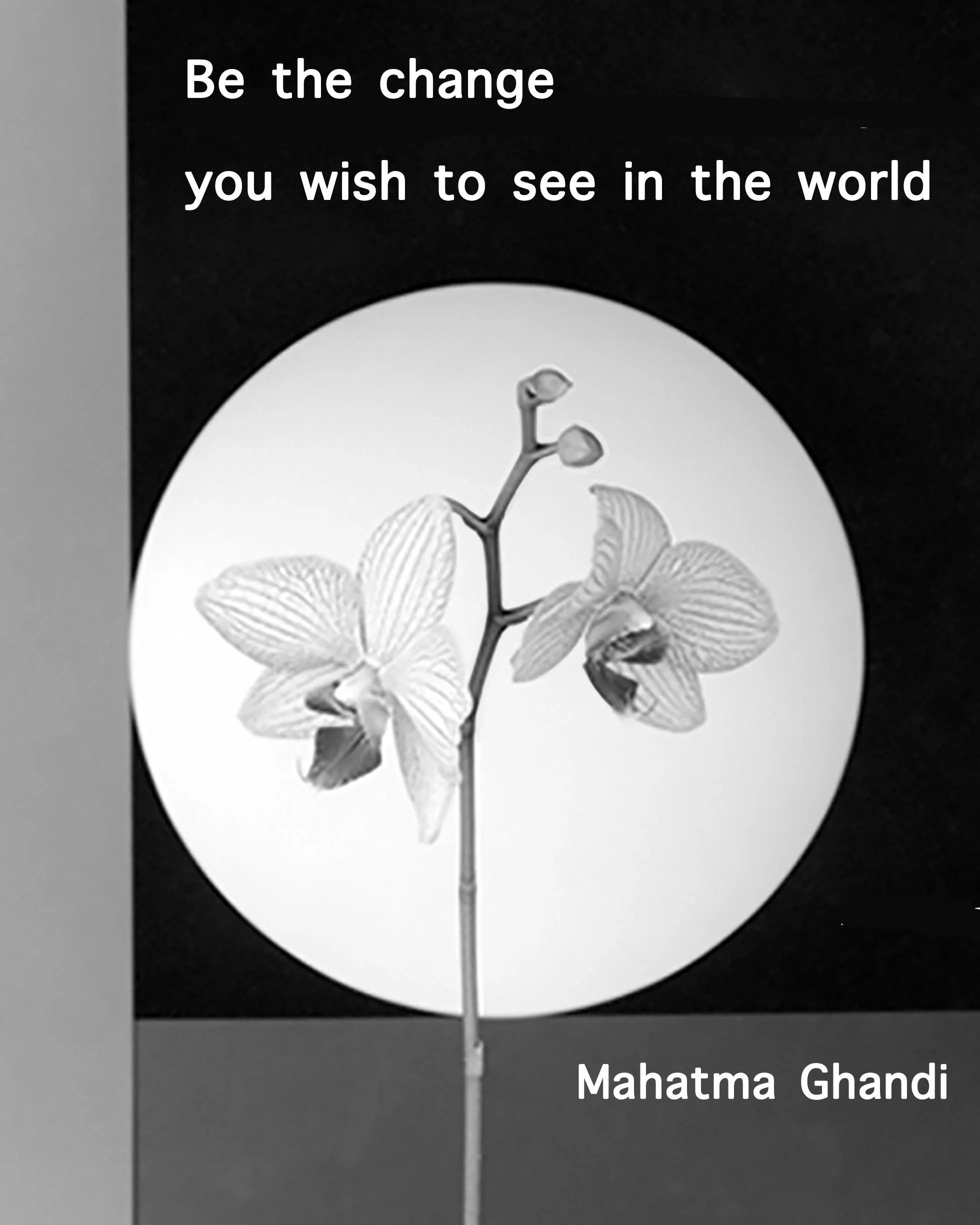 GHANDI 8X10.jpg