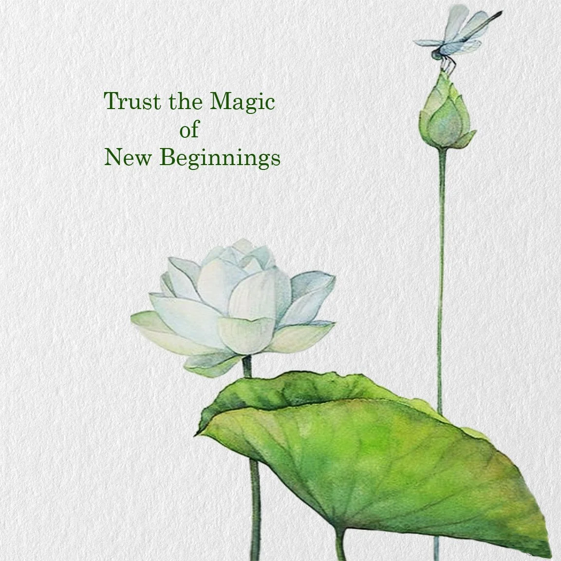 8x8 NEW BEGINNINGS copy.jpg