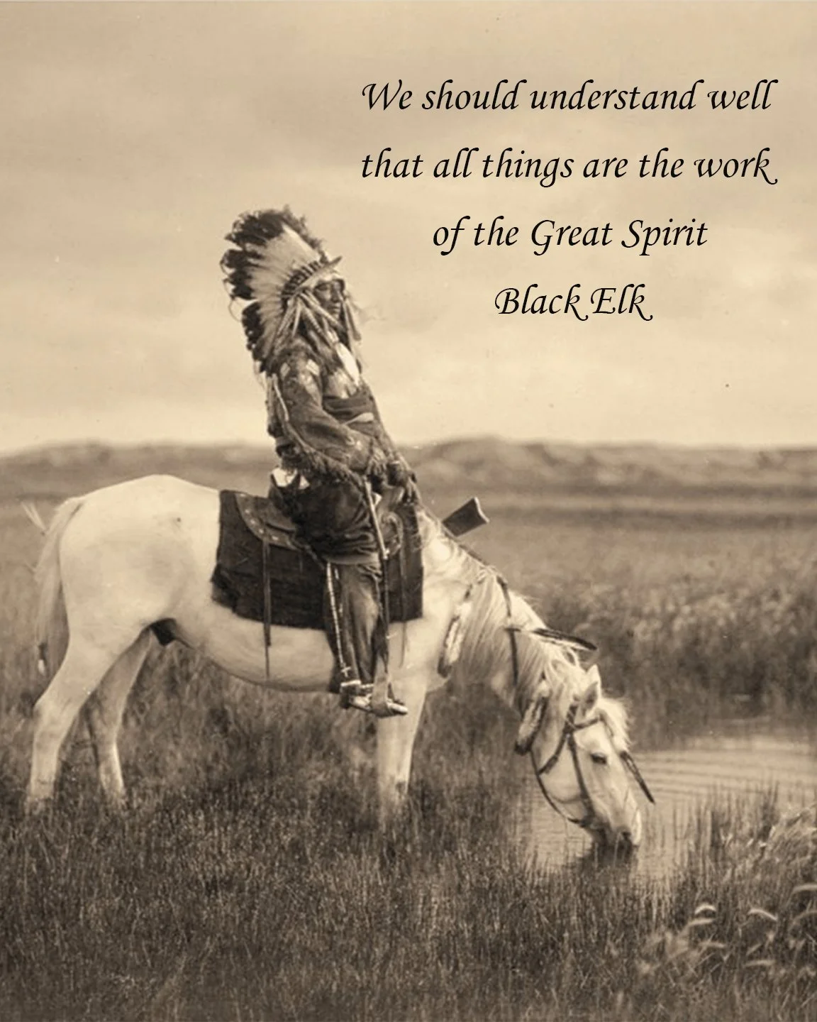 BLACK ELK 2 copy.jpg