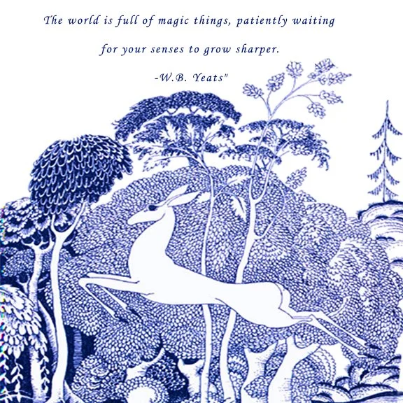 WORLD IS FULL.jpg